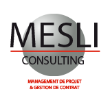 logo mesli consutling